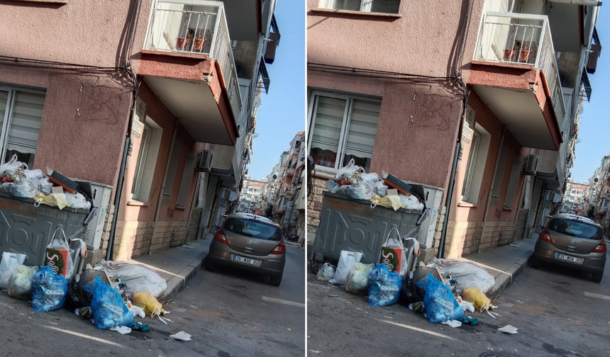 İzmir'in merkezinde çöp isyanı! Konteynerler dolup taştı