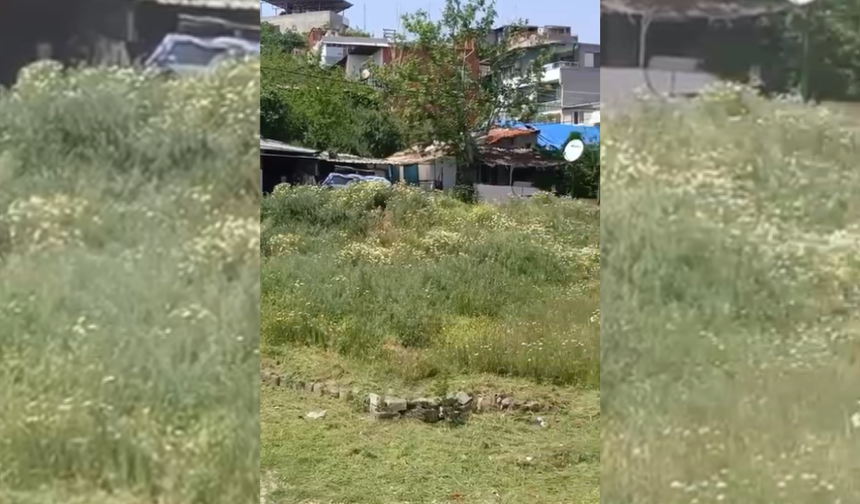 Karabağlar Bahriye Üçok böcek yuvasına döndü!