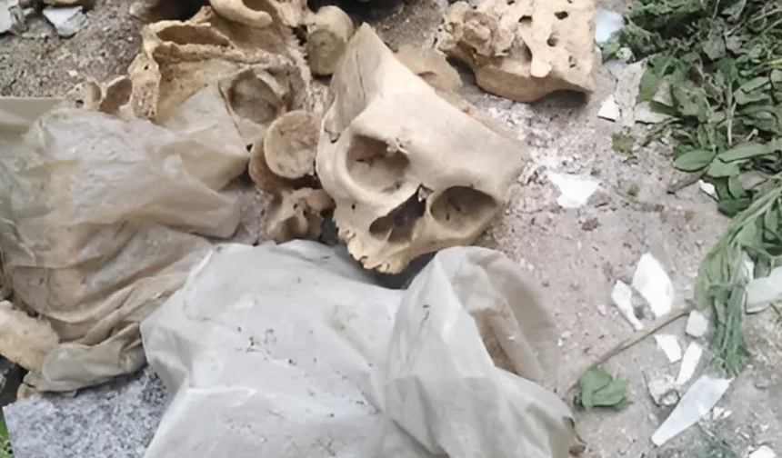 Bornova'daki bulunan insan kemikleri için İstanbul'da adli inceleme