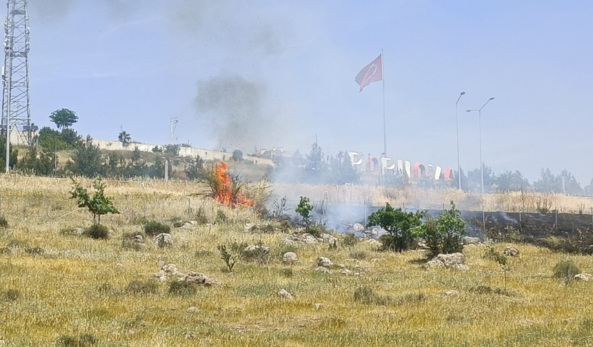 Bornova-Karşıyaka otoban girişinde yangın paniği!