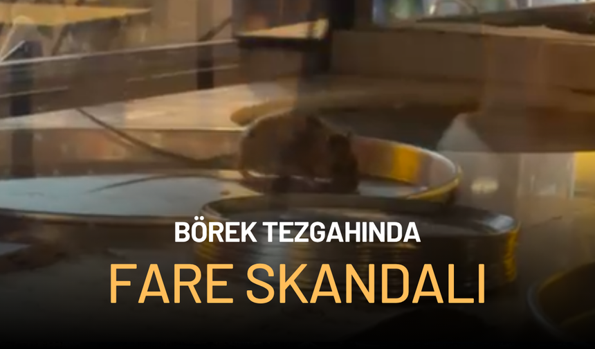 Börek tezgahında fare skandalı