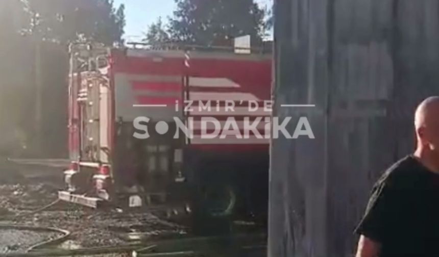 Seyhan Mahallesi’ndeki yangına ekipler dört bir yandan müdahale etti