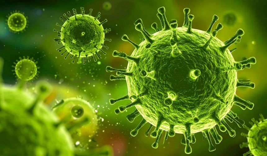 Mutasyona uğramış grip Türkiye için tehlike oluşturur mu?