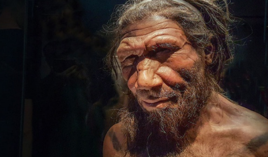 Neandertallerin burun yapısına dair popüler teori çöktü