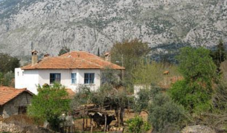 Bergama'da kardeşiyle mantar toplamaya giden kişi ormanda kayboldu