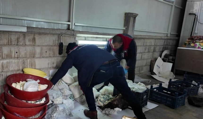 Son kullanma tarihi geçen 2 bin 424 kilogram peynir ve tereyağı bulundu