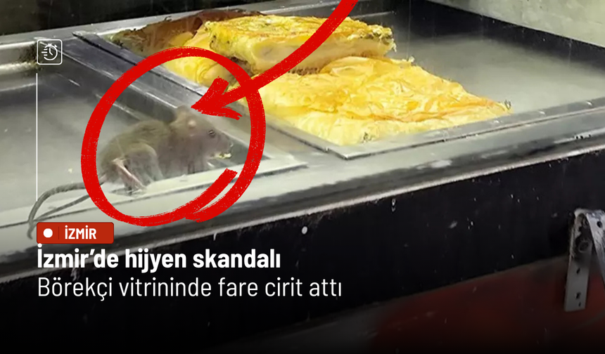 İzmir’de hijyen skandalı: Börek vitrininde fare görüntülendi, işletme mühürlendi