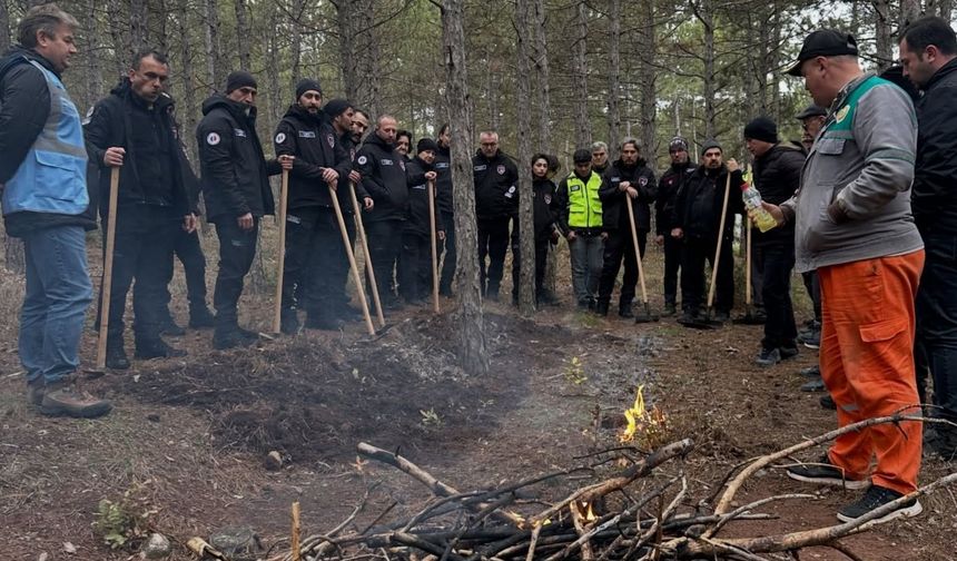 Orman yangınlarıyla mücadelede gönüllü oldular