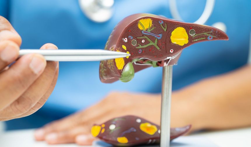 Prof. dr. Kabaçam Türkiye’de karaciğer yağlanmasının kritik seviyeye ulaştığını açıkladı