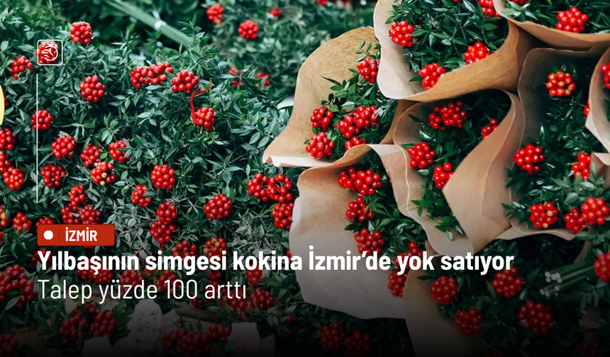 Yılbaşının simgesi kokina İzmir’de yok satıyor: Talep yüzde 100 arttı