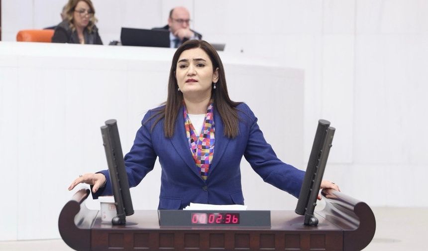 Sevda Erdan Kılıç Epstein belgelerini Meclis gündemine taşıdı