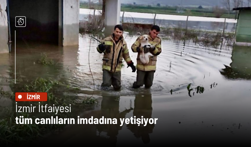 İzmir İtfaiyesi tüm canlıların imdadına yetişiyor