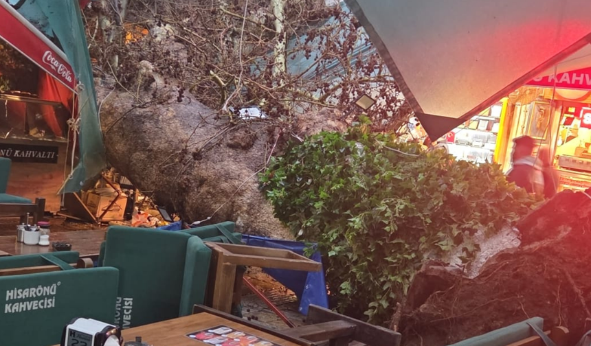 Fırtına Kemeraltı’nı vurdu: Kızlar Ağası Hanı önünde ağaç devrildi