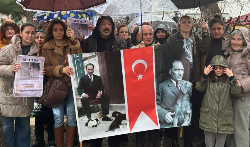 Karşıyakalı hayvanseverler 14 yıldır Latife Hanım Köşkü'nde yaşayan ve kaybolan Mathilda için ayaklandı