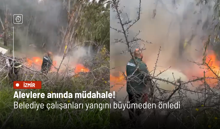Alevlere anında müdahale! Belediye çalışanları yangını büyümeden önledi