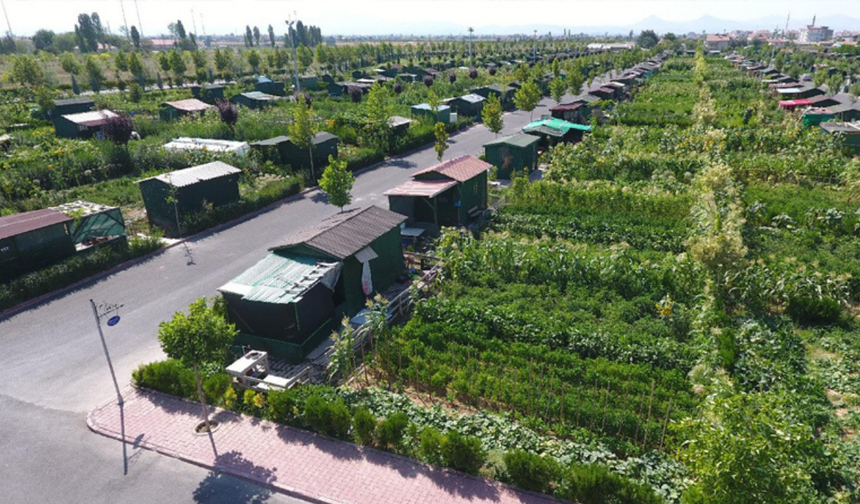 Tarlaya ev yapanlara kötü haber: Hobi bahçelerine sıkı denetim ve cezalar geliyor