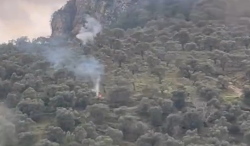 Şirince çıkışında ormanlık alanda yangın paniği