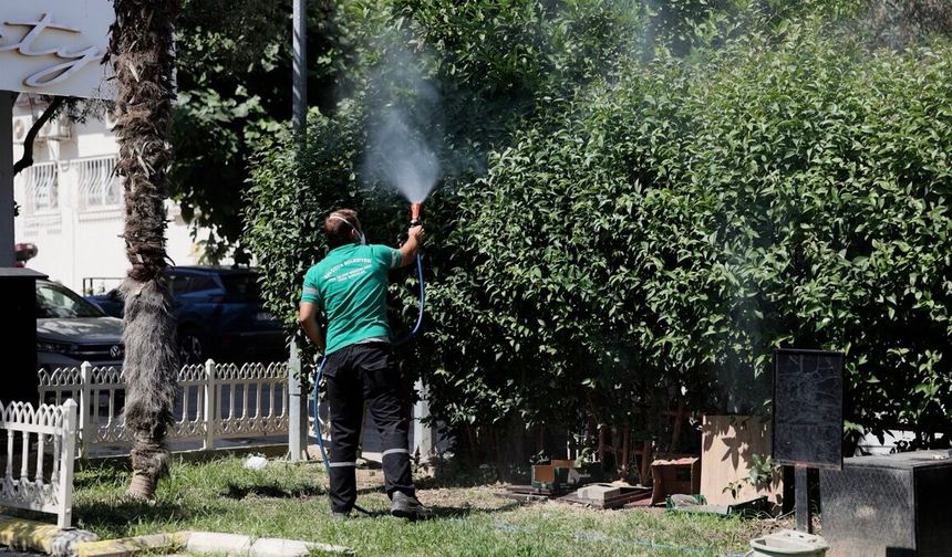 Balçova’da yaz dönemi haşereyle mücadele: İlçe genelinde kapsamlı ilaçlama