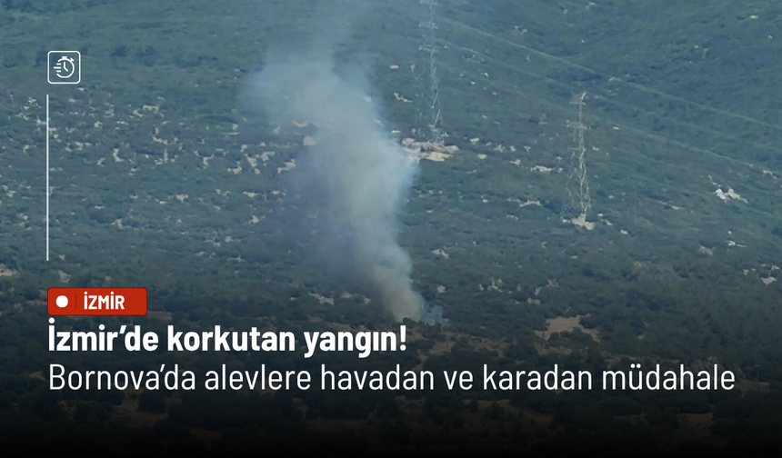 İzmir’de korkutan yangın! Bornova’da alevlere havadan ve karadan müdahale