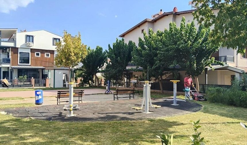 Menderes’te yabani otlarla mücadele sürüyor: Ekipler dört bir yanda sahada
