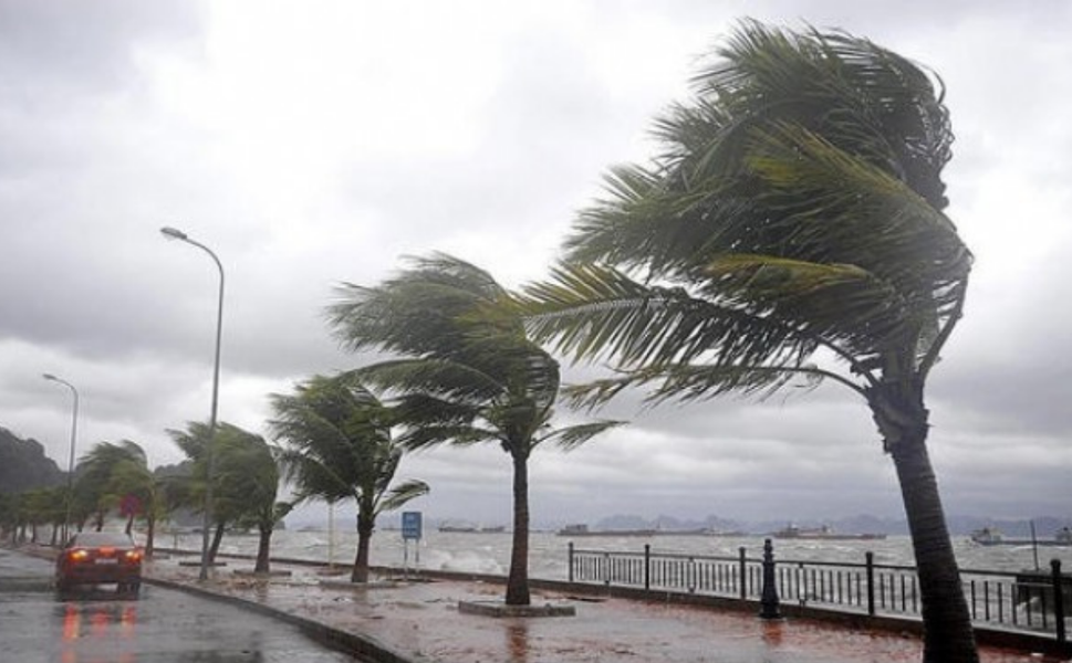 İzmir’e şiddetli fırtına uyarısı