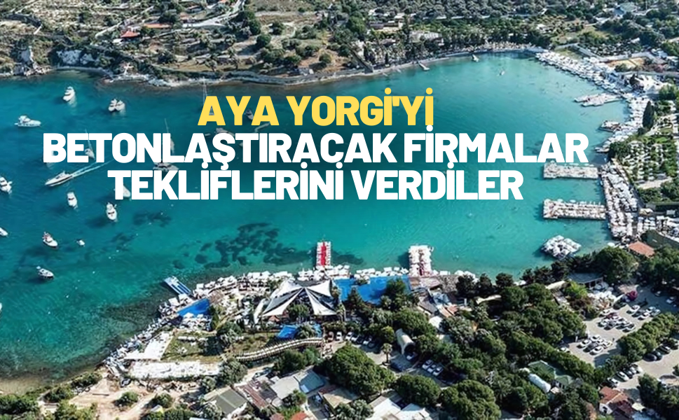 Aya Yorgi'yi betonlaştıracak firmalar tekliflerini verdiler