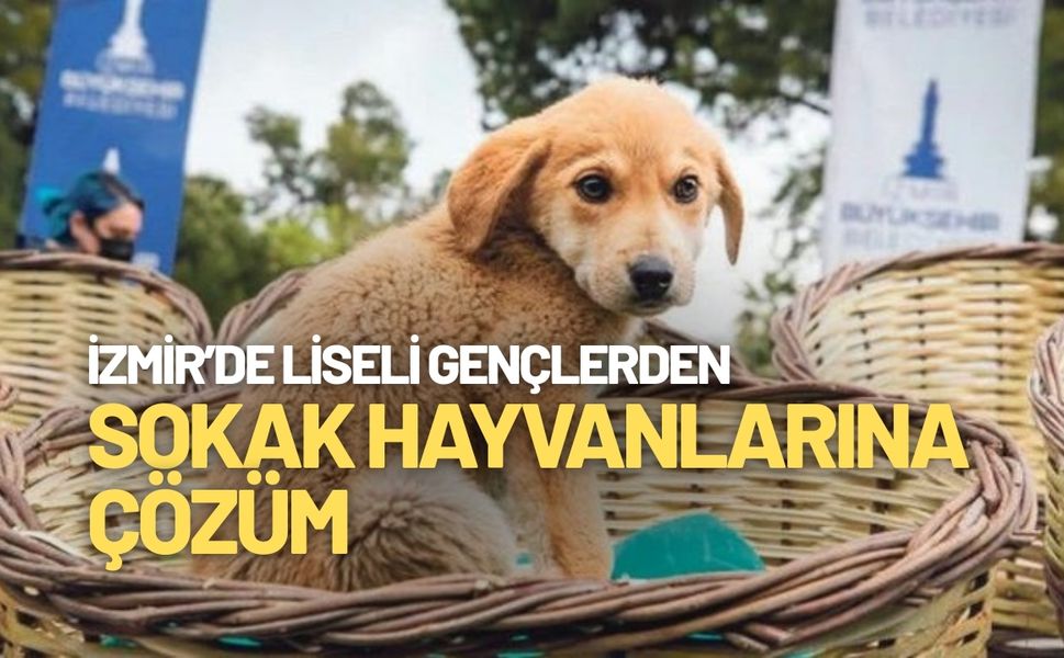 İzmir'de liseli gençlerden sokak hayvanlarına çözüm!