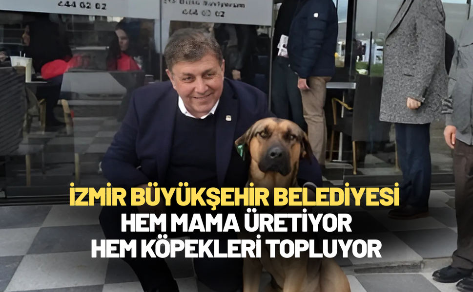 İzmir Büyükşehir Belediyesi bir yandan mama üretiyor, bir yandan köpekleri topluyor
