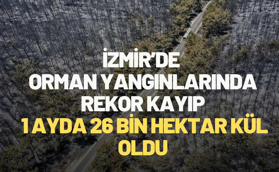 İzmir’de orman yangınlarında rekor kayıp: 1 ayda 26 bin hektar kül oldu