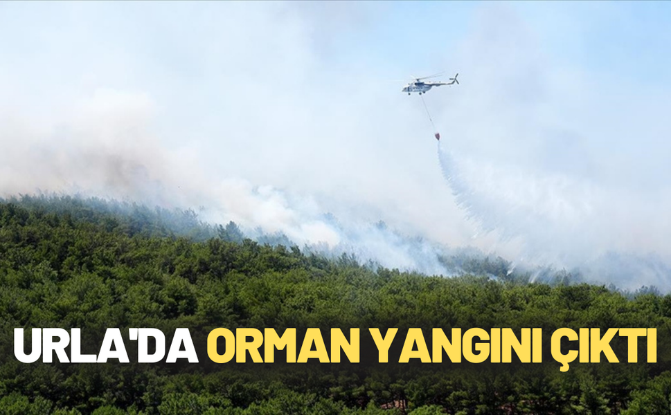 Urla'da orman yangını çıktı