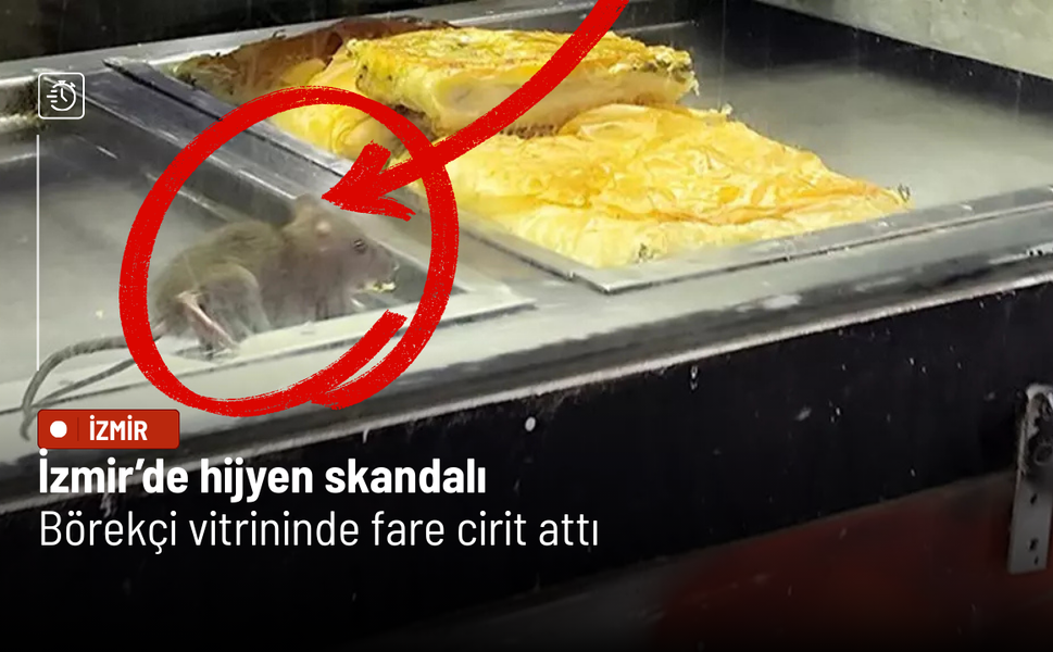 İzmir’de hijyen skandalı: Börek vitrininde fare görüntülendi, işletme mühürlendi