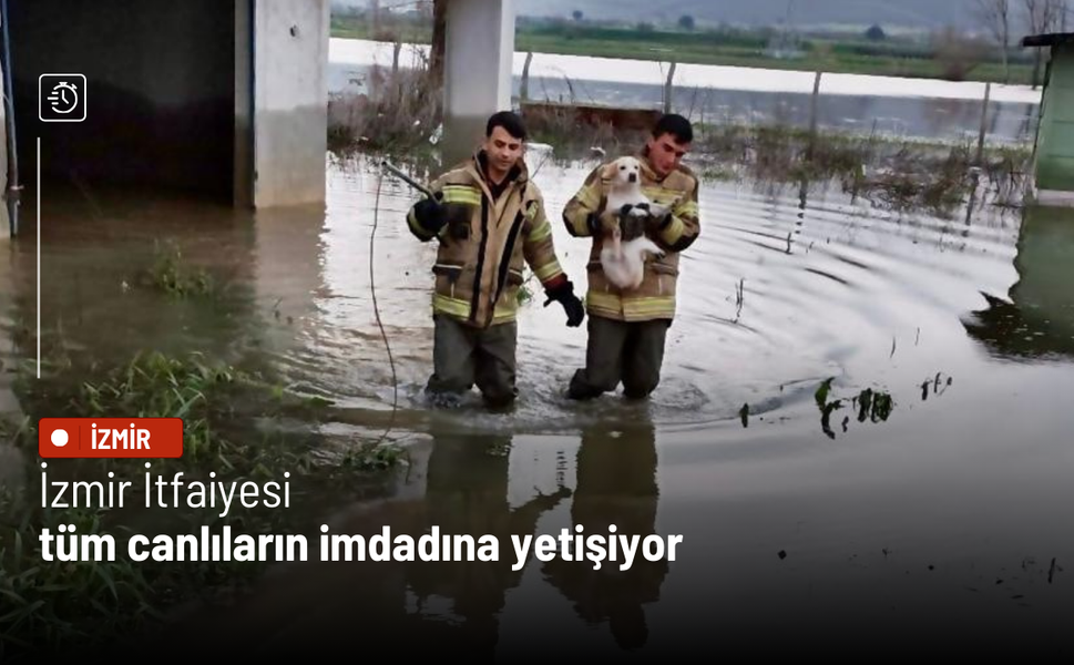 İzmir İtfaiyesi tüm canlıların imdadına yetişiyor