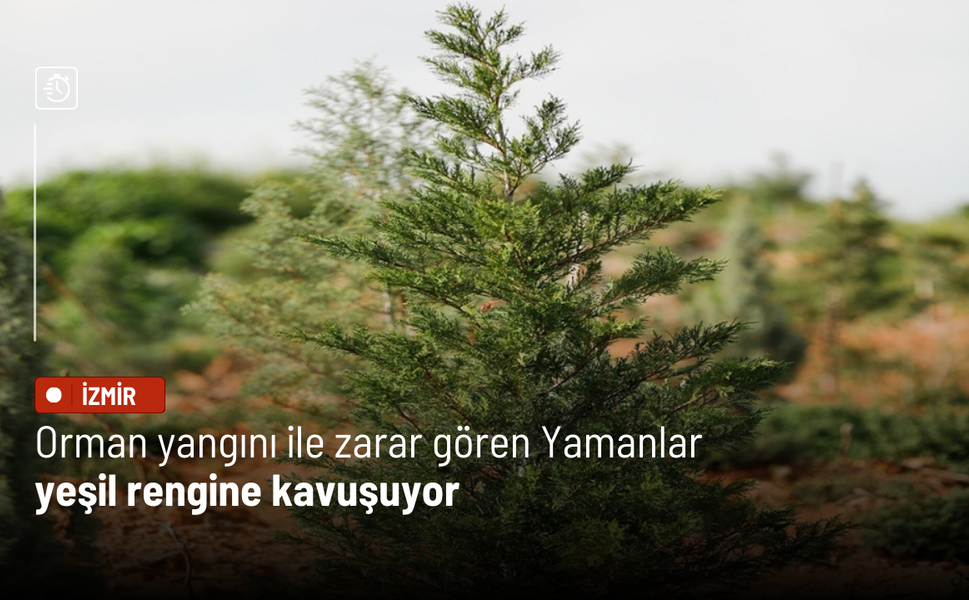 Orman yangını ile zarar gören Yamanlar, yeşil rengine kavuşuyor