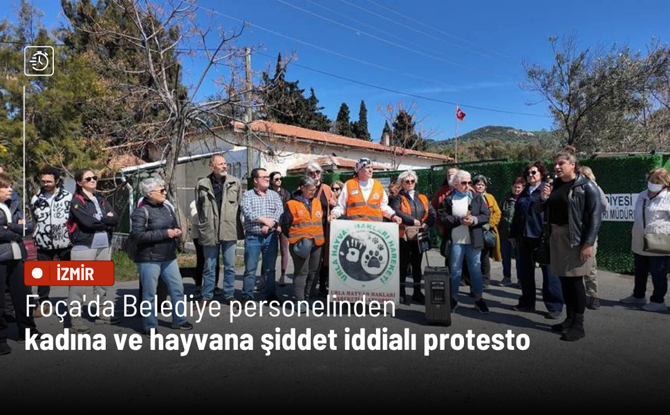 Foça'da Belediye personelinden kadına ve hayvana şiddet iddialı protesto
