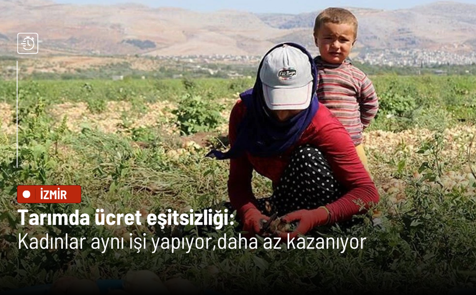 Tarımda ücret eşitsizliği: Kadınlar aynı işi yapıyor, daha az kazanıyor