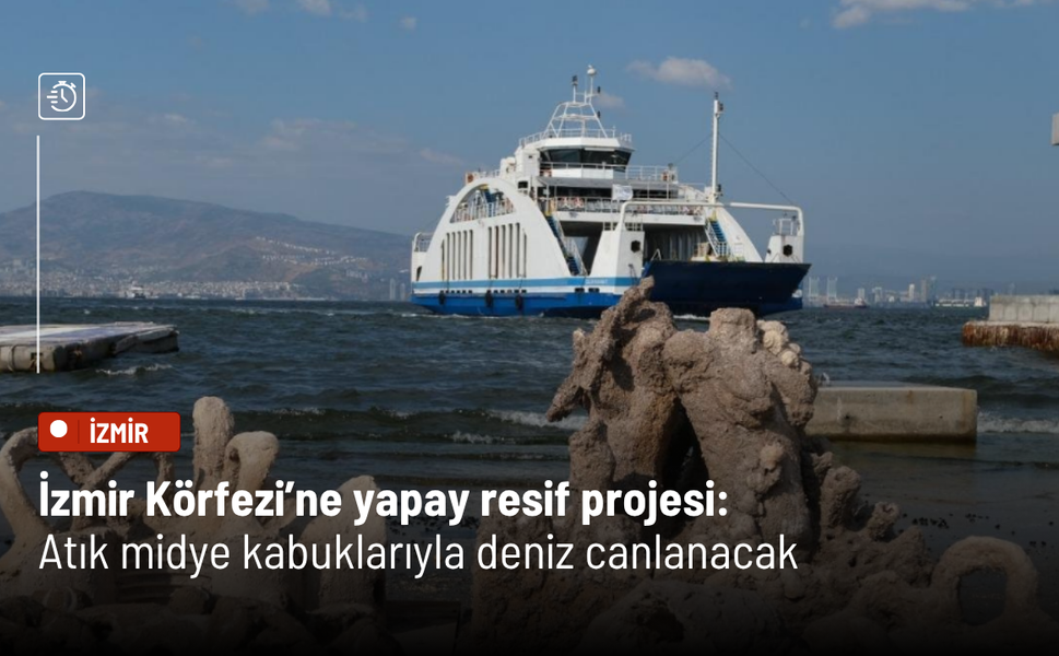İzmir Körfezi’ne yapay resif projesi: Atık midye kabuklarıyla deniz canlanacak