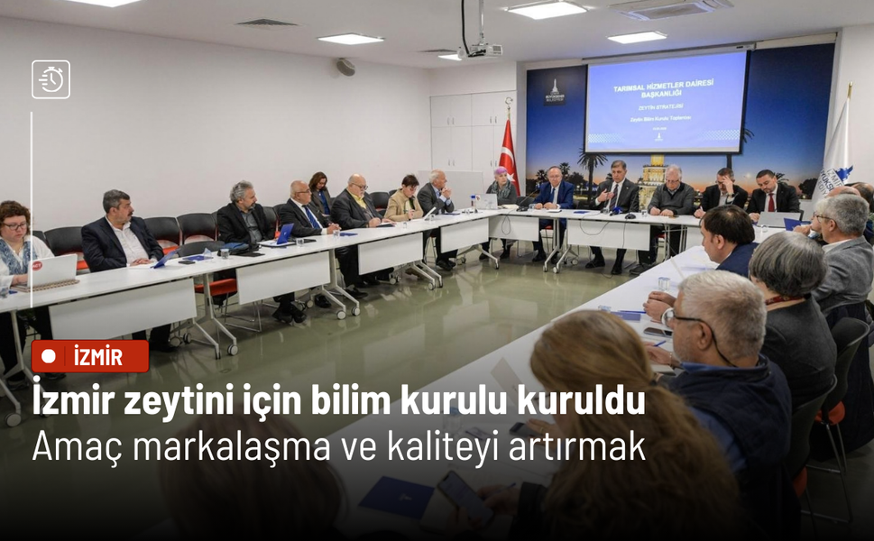 İzmir zeytini için bilim kurulu kuruldu: Amaç markalaşma ve kaliteyi artırmak