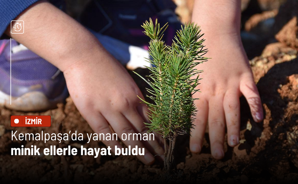 Kemalpaşa’da yanan orman minik ellerle hayat buldu