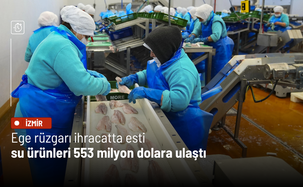 Ege rüzgarı ihracatta esti: Su ürünleri 553 milyon dolara ulaştı