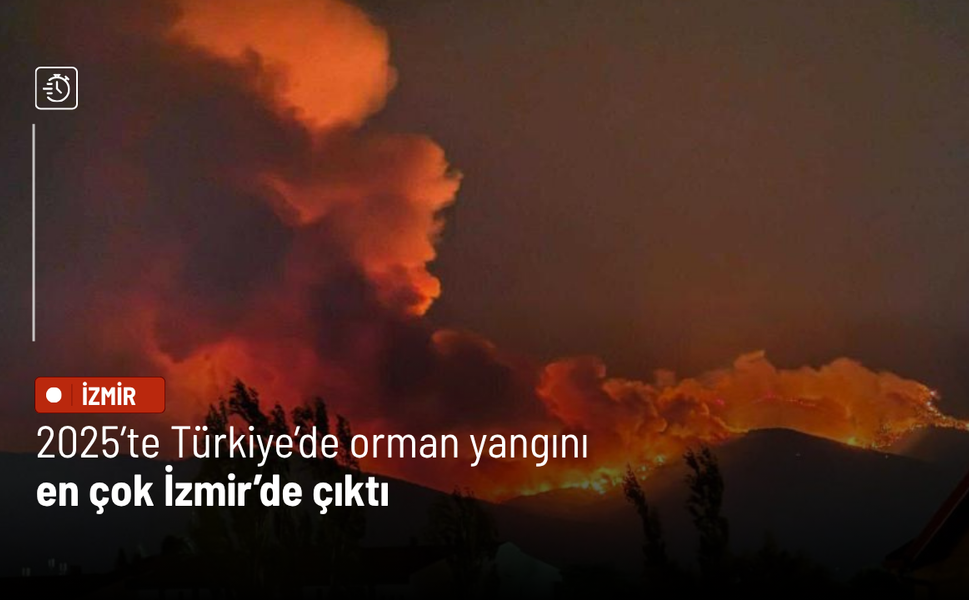 Bakanlık açıkladı: 2025’te Türkiye'de orman yangını en çok İzmir’de çıktı