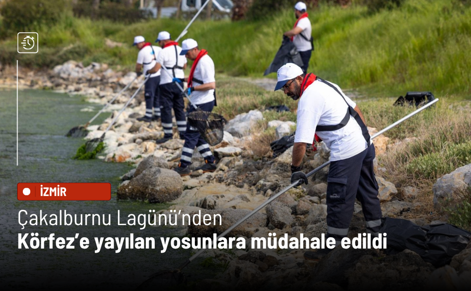 Çakalburnu Lagünü’nde yosunlara karşı yoğun müdahale