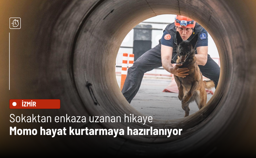 Sokaktan enkaza uzanan hikaye: Momo hayat kurtarmaya hazırlanıyor