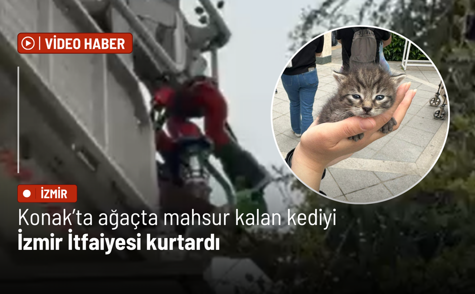 Konak’ta ağaçta mahsur kalan kediyi İzmir İtfaiyesi kurtardı