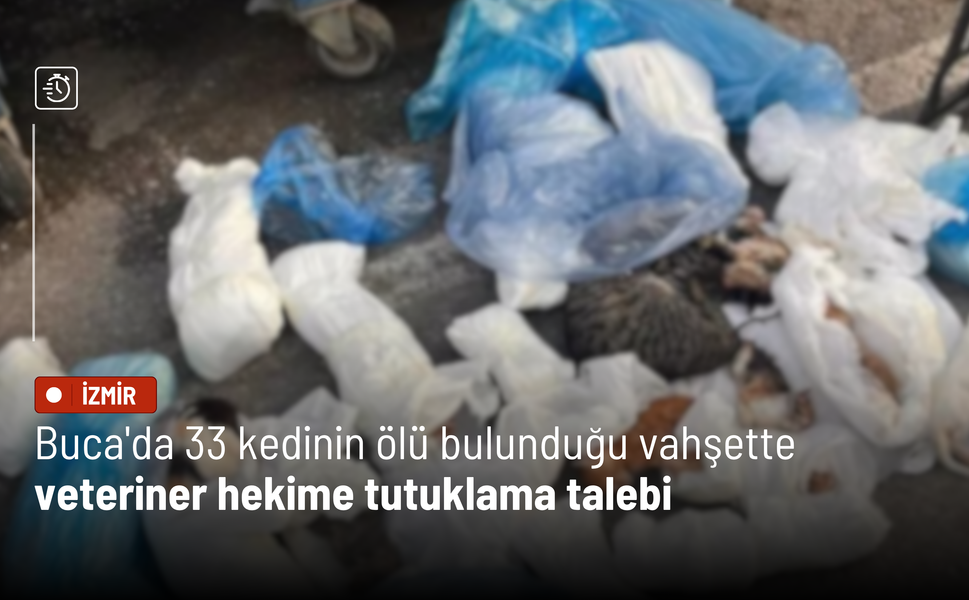 Buca'da 33 kedinin ölü bulunduğu vahşette veteriner hekime tutuklama talebi