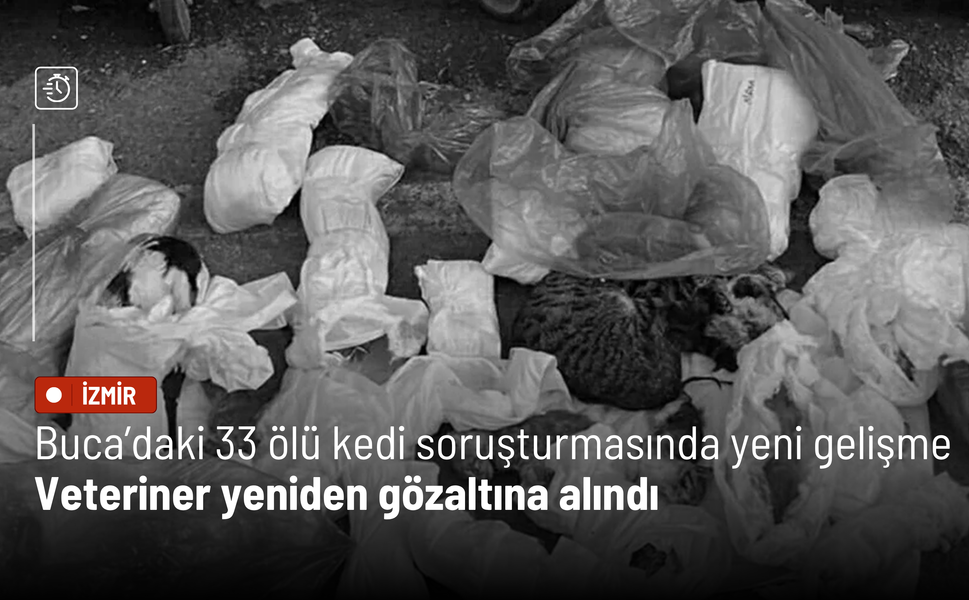 Buca’daki 33 ölü kedi soruşturmasında yeni gelişme: Veteriner yeniden gözaltına alındı