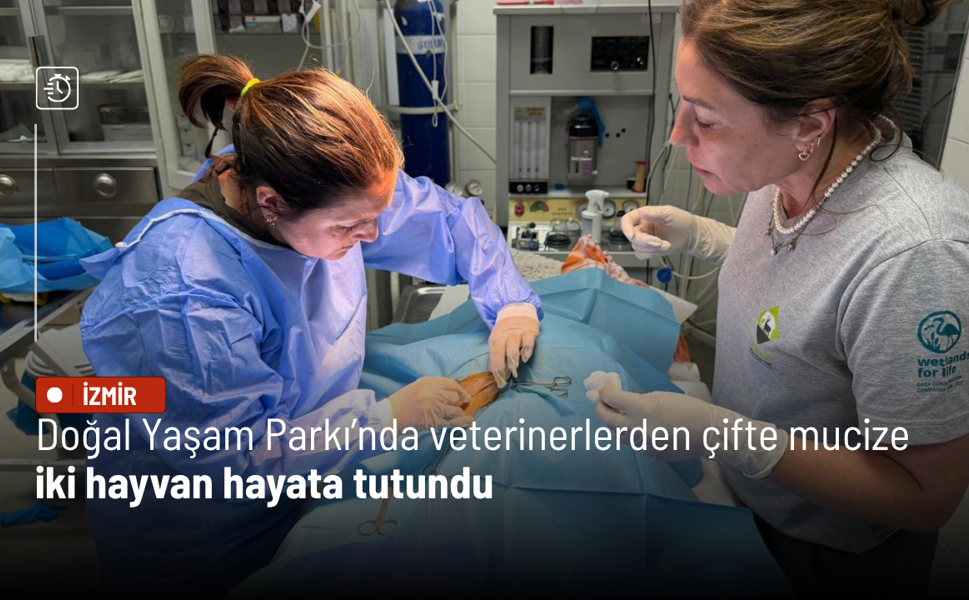 Doğal Yaşam Parkı’nda veterinerlerden çifte mucize: İki hayvan hayata tutundu