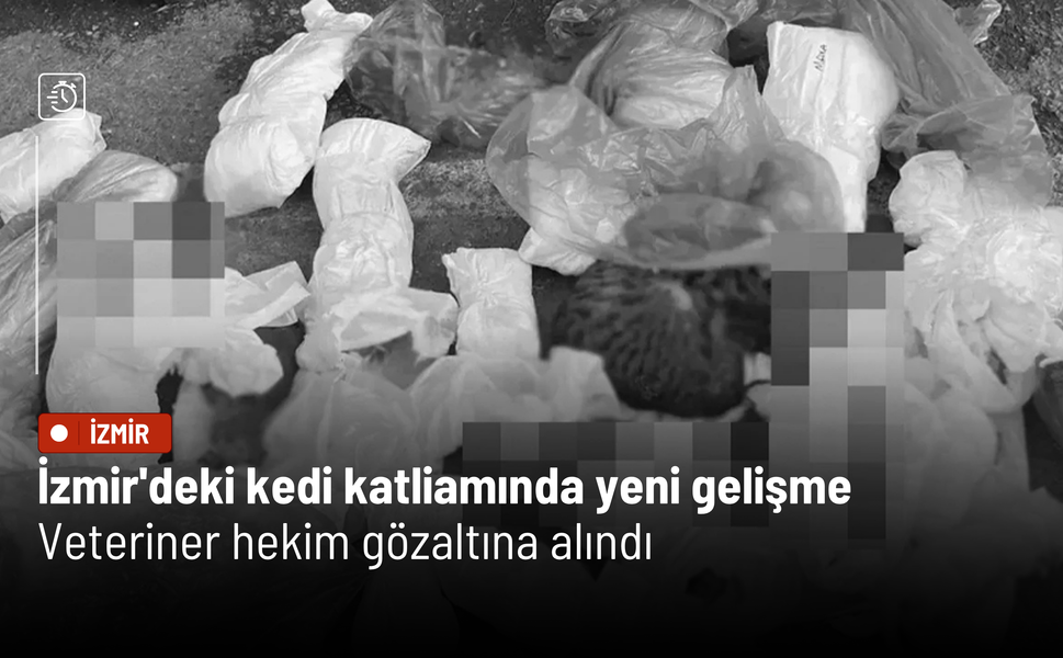 İzmir'deki kedi katliamında yeni gelişme: Veteriner hekim gözaltına alındı