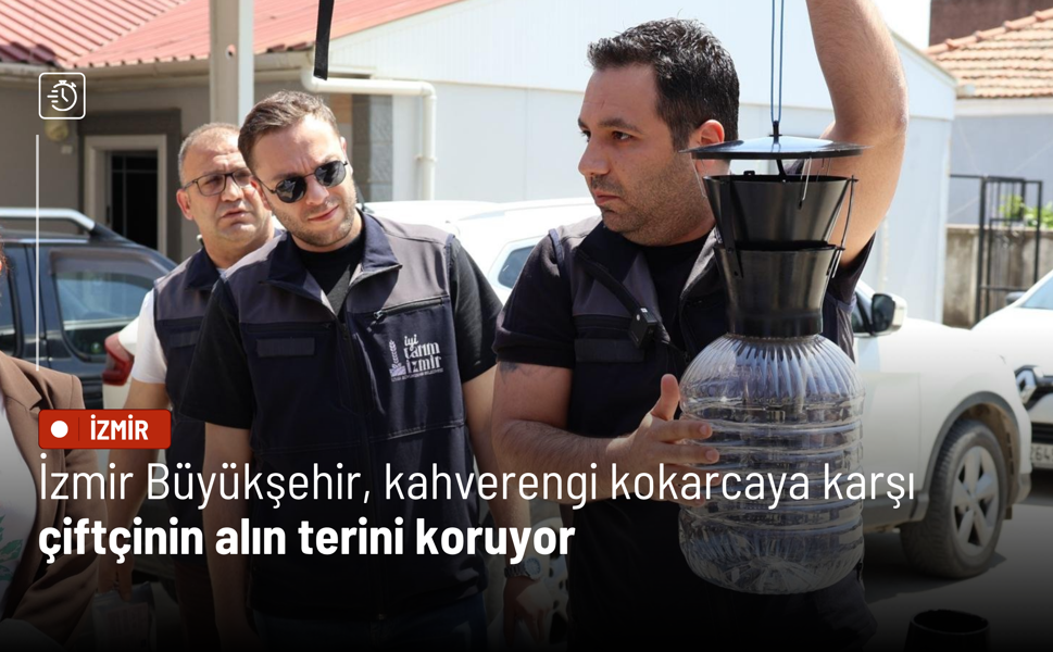 İzmir Büyükşehir, kahverengi kokarcaya karşı çiftçinin alın terini koruyor
