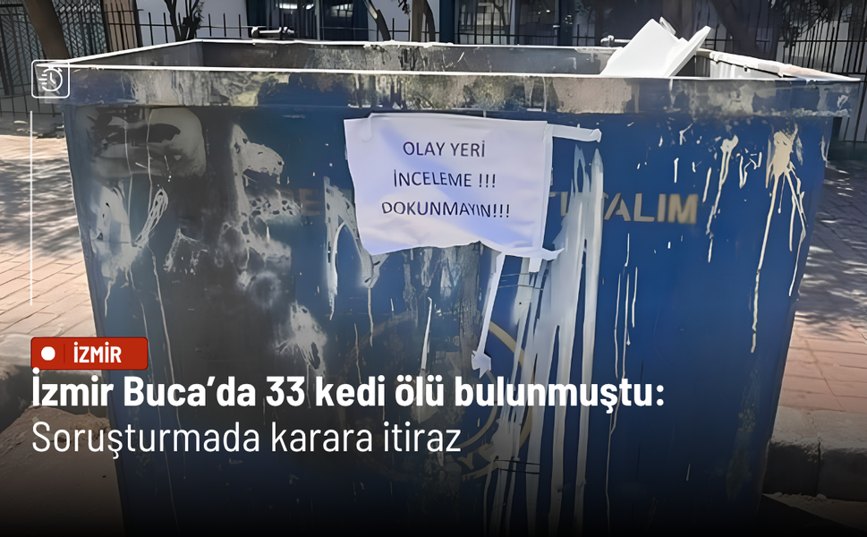 İzmir Buca’da 33 kedi ölü bulunmuştu: Soruşturmada karara itiraz