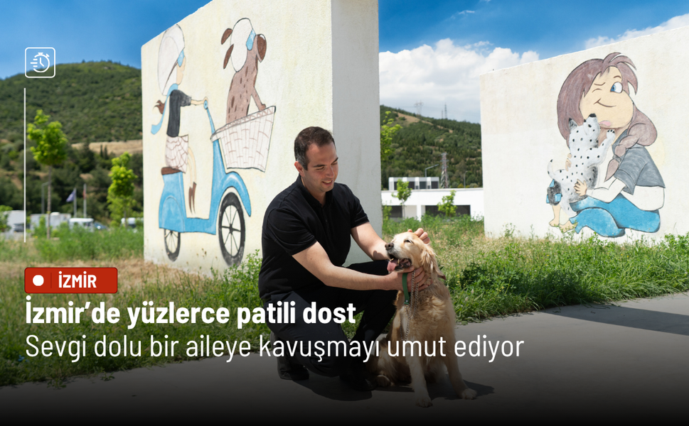 İzmir’de yüzlerce patili dost sevgi dolu bir aileye kavuşmayı umut ediyor